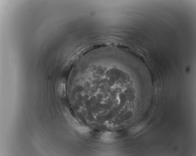 X0000112820527200908281534