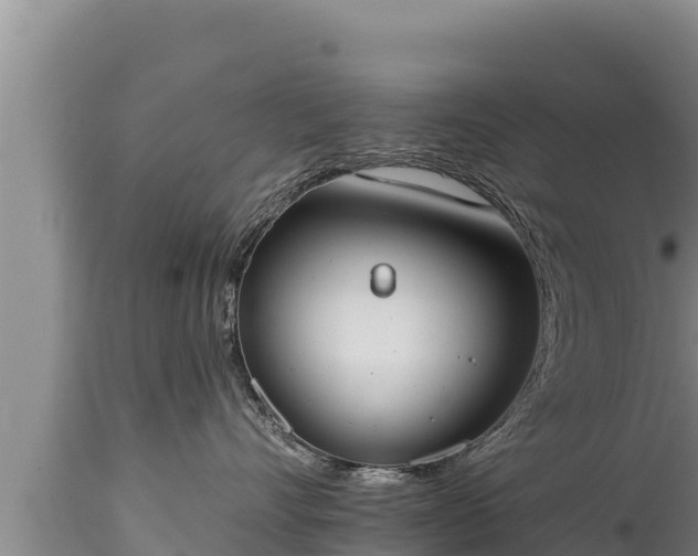 X0000112820528200908281534