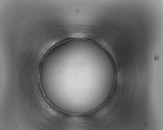 X0000112820529200908281533