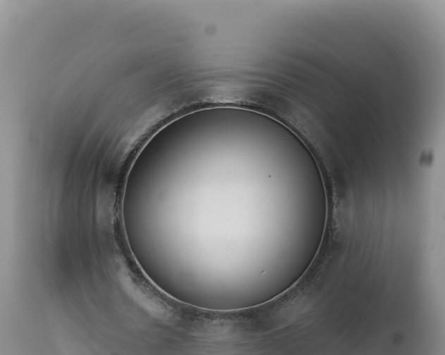 X0000112820530200908281533