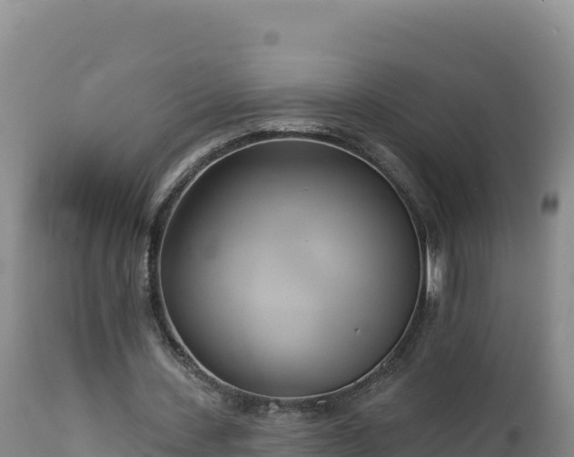 X0000112820531200908281533