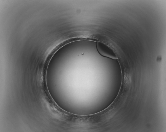 X0000112820532200908281533