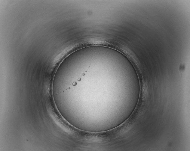 X0000112820533200908281533