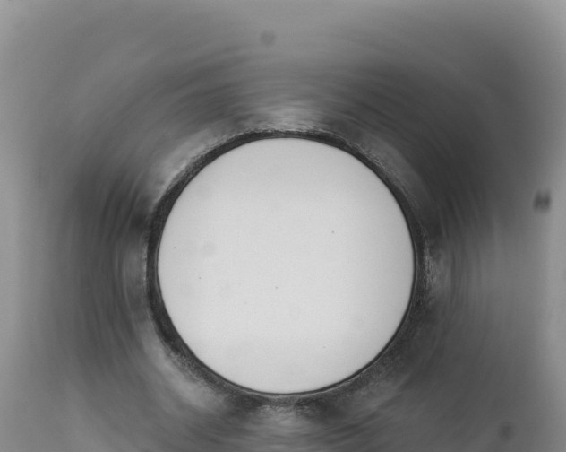 X0000112820534200908281533