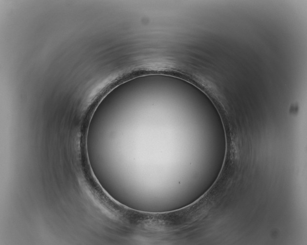 X0000112820535200908281533