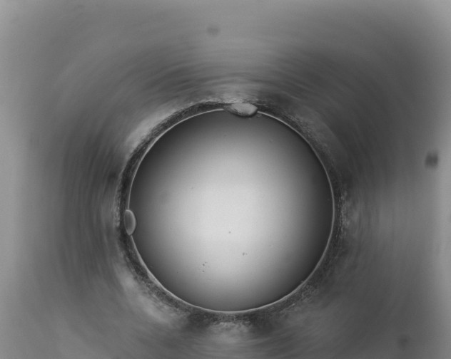 X0000112820536200908281533