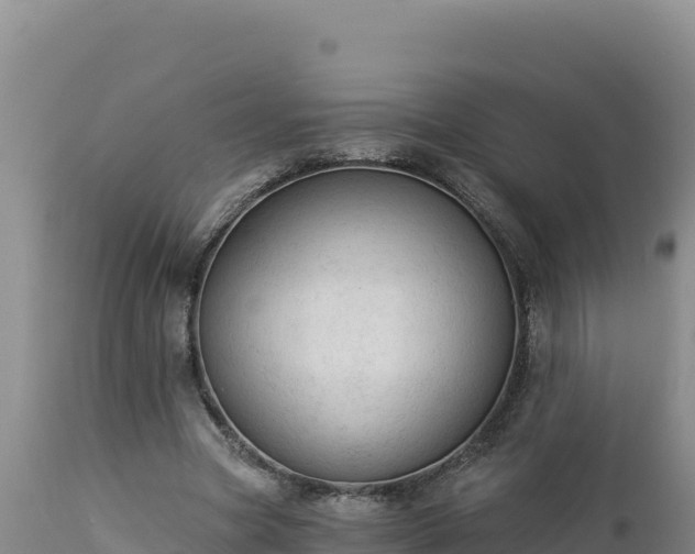 X0000112820537200908281533