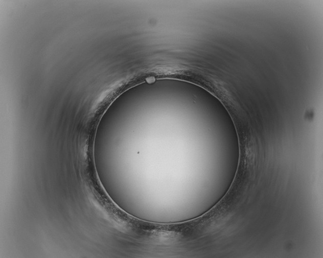 X0000112820539200908281533