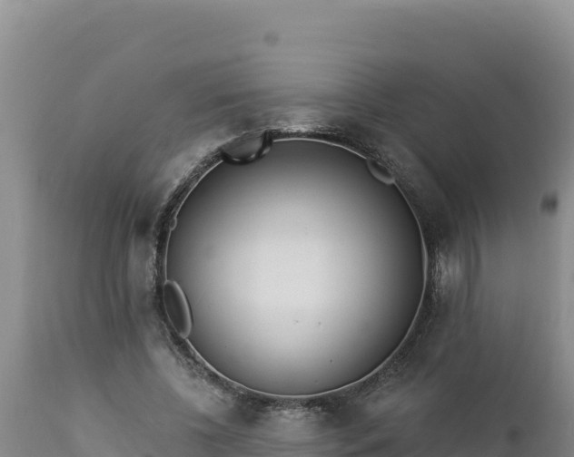 X0000112820540200908281533