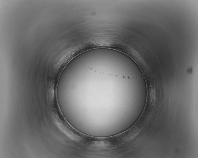 X0000112820541200908281533