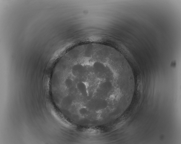 X0000112820542200908281533