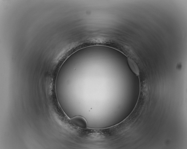 X0000112820544200908281533