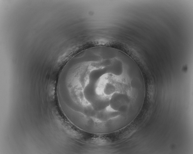 X0000112820545200908281533