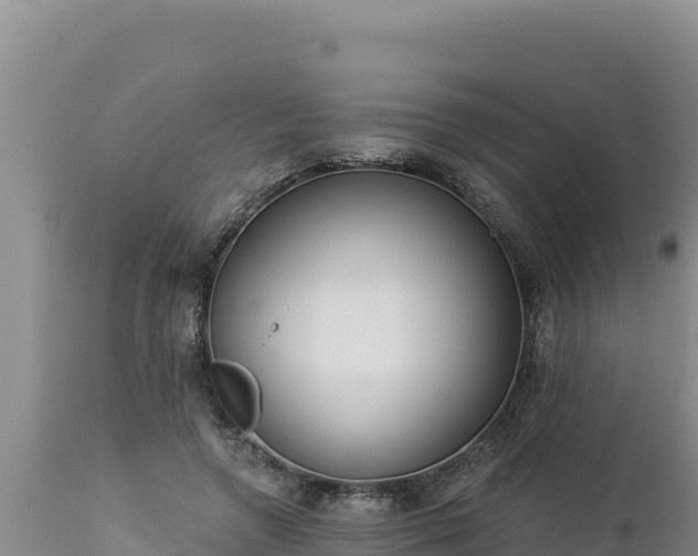 X0000112820546200908281533