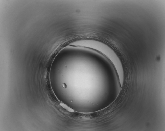 X0000112820548200908281533