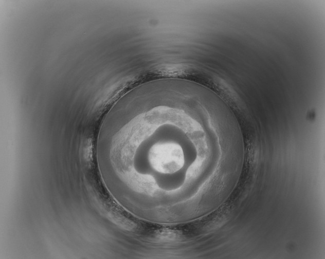 X0000112820549200908281533