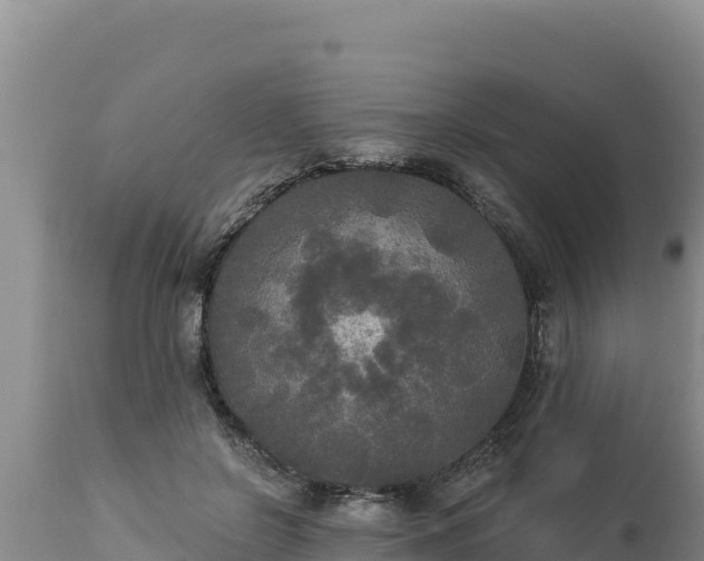 X0000112820550200908281533