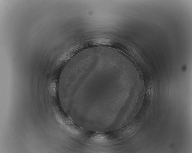 X0000112820551200908281533