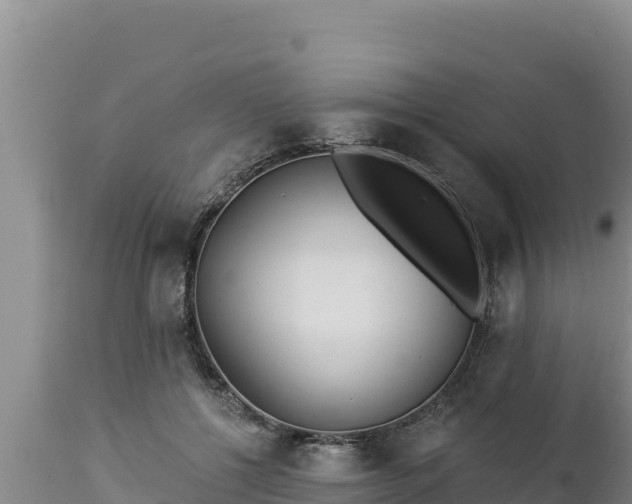 X0000112820552200908281533