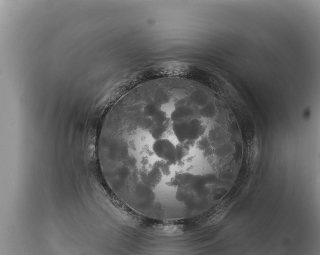 X0000112820553200908281533