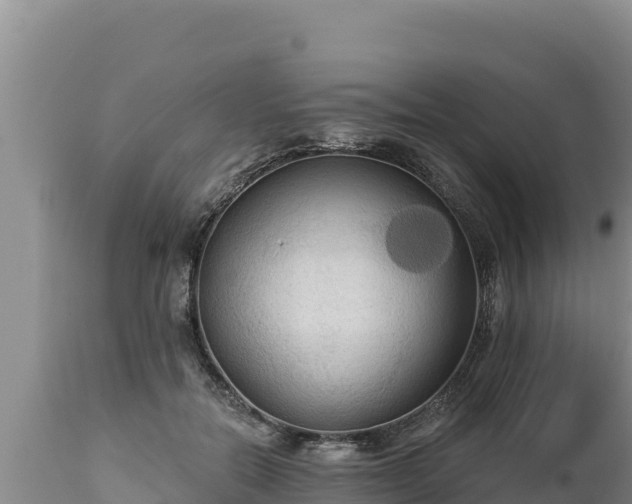 X0000112820554200908281533