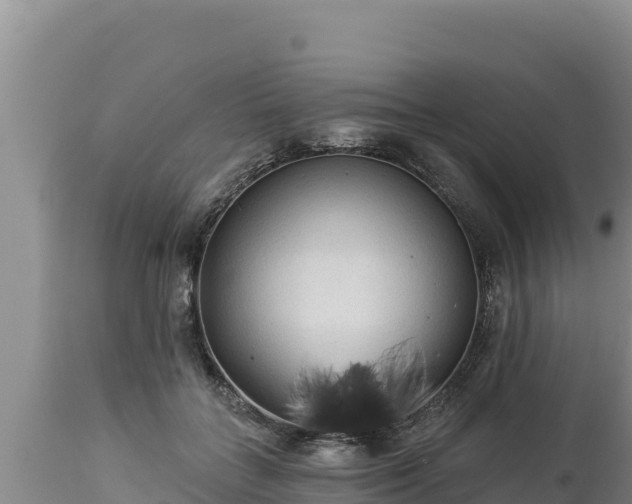 X0000112820555200908281533