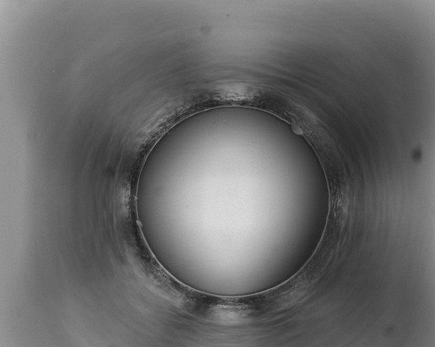 X0000112820556200908281533