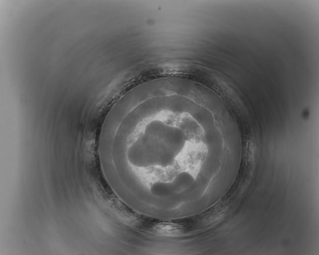 X0000112820557200908281533