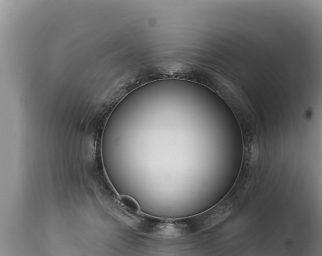 X0000112820558200908281533