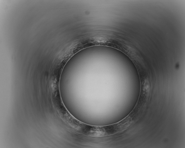 X0000112820559200908281533