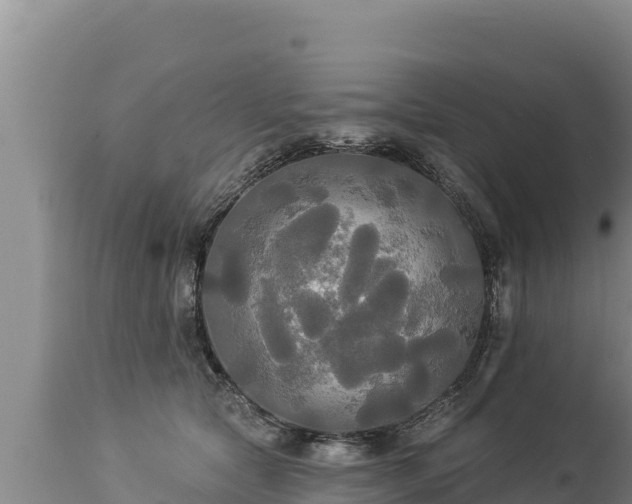 X0000112820561200908281533