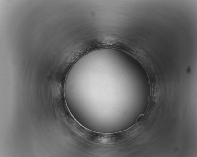 X0000112820563200908281533