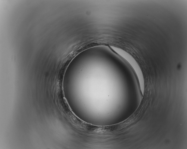 X0000112820568200908281533