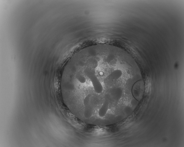 X0000112820569200908281533