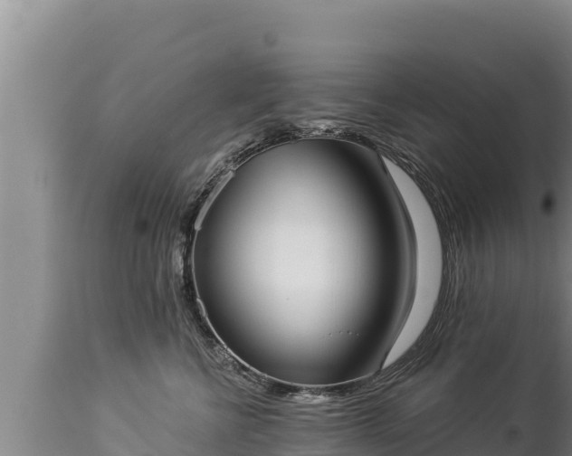 X0000112820570200908281533