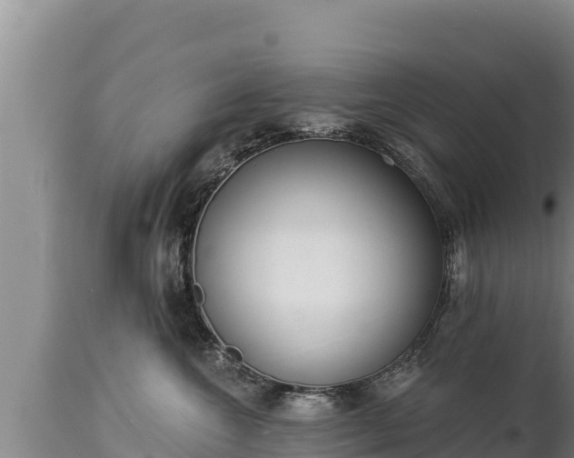 X0000112820572200908281534