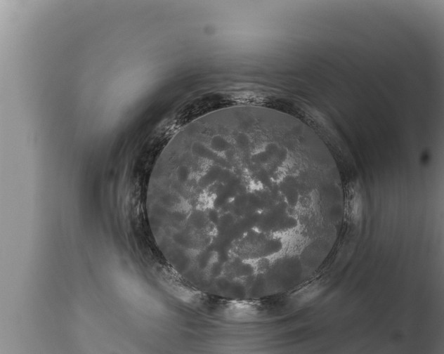 X0000112820573200908281534