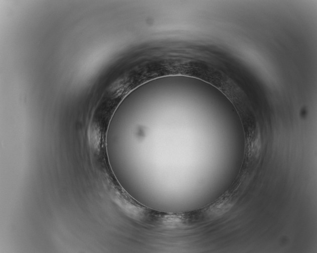 X0000112820574200908281534