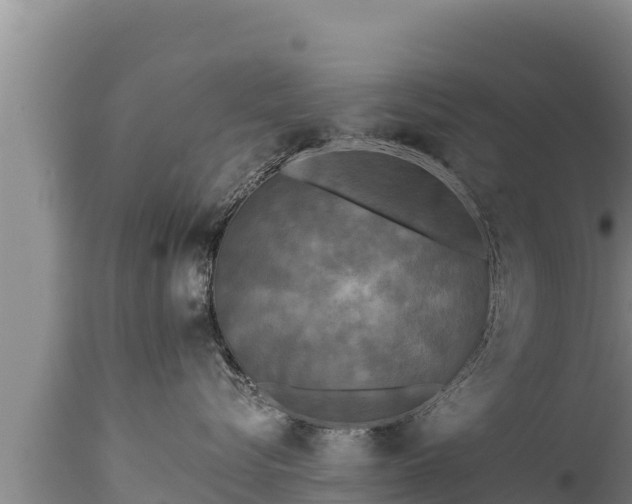 X0000112820576200908281534