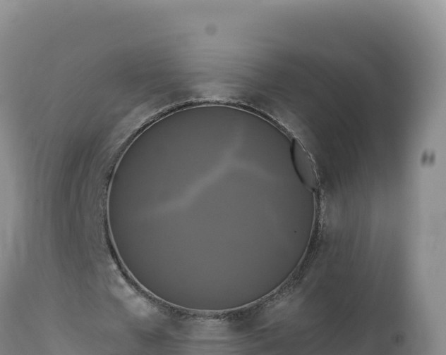 X0000112820577200908281533