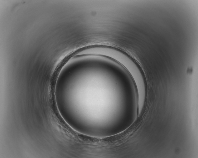 X0000112820579200908281533