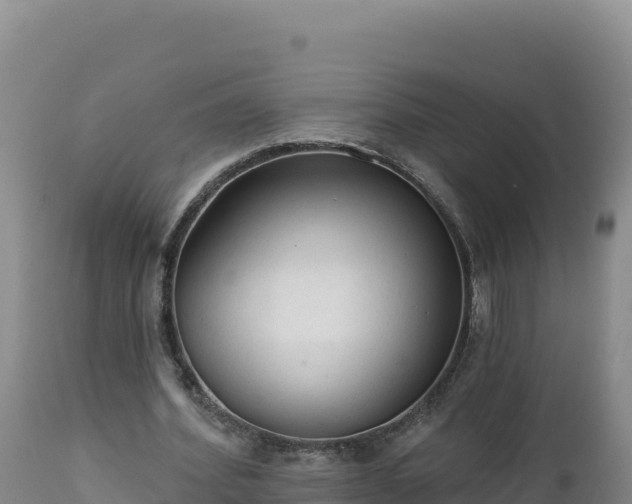 X0000112820580200908281533