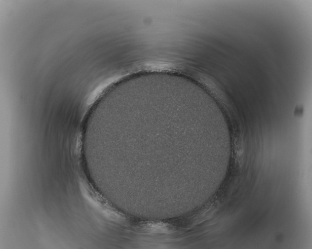 X0000112820583200908281533