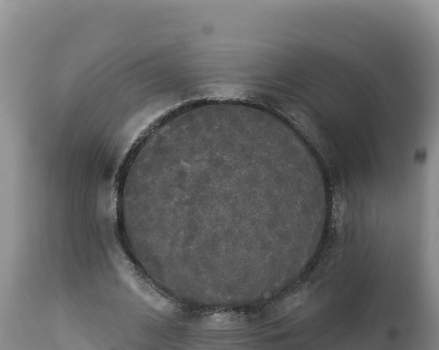 X0000112820584200908281533