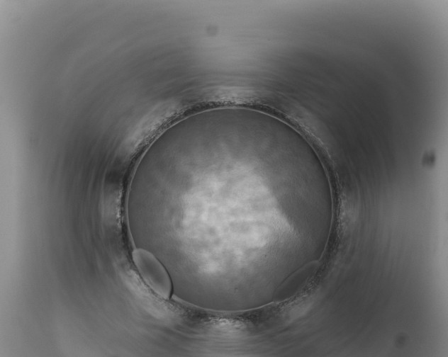 X0000112820585200908281533