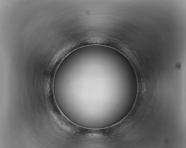 X0000112820586200908281533