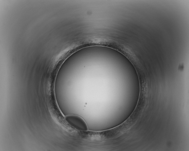 X0000112820587200908281533