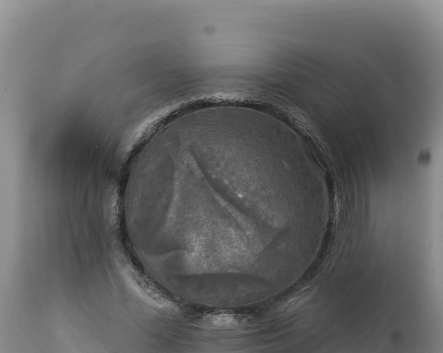 X0000112820588200908281533