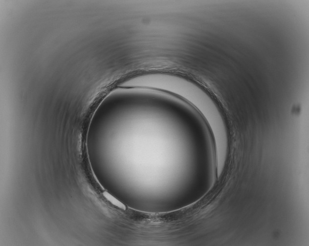 X0000112820589200908281533