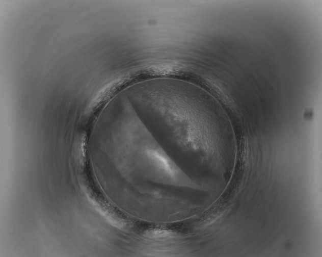 X0000112820590200908281533